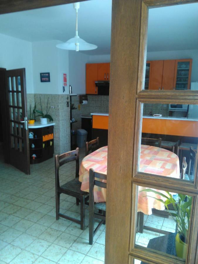 Apartment Viki