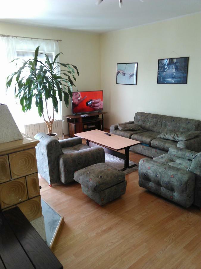 Apartment Viki *