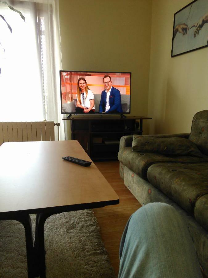 Apartment Viki *