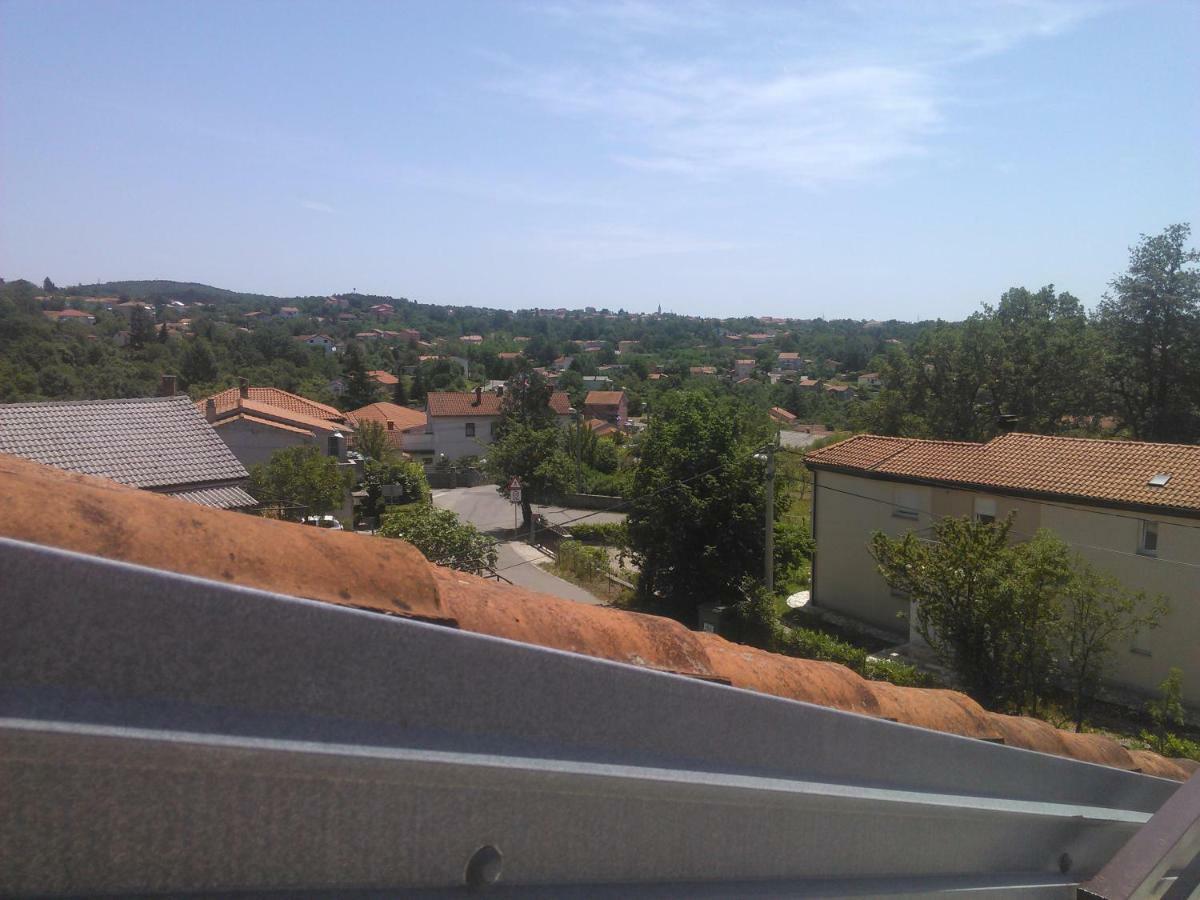Apartment Viki